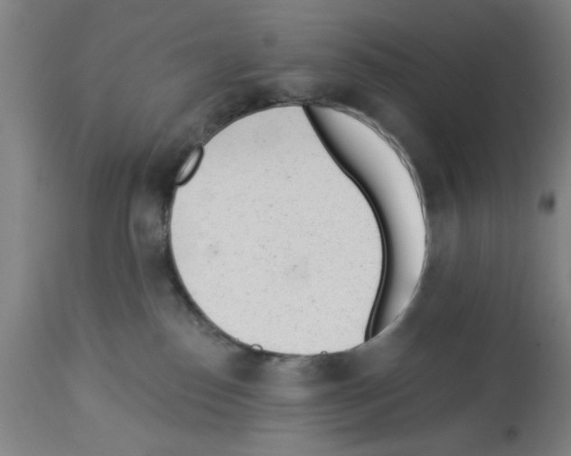 X0000112920186200910051117