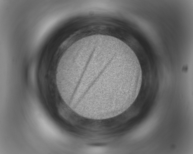 X0000112920189200910051117