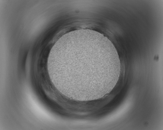 X0000112920191200910051117