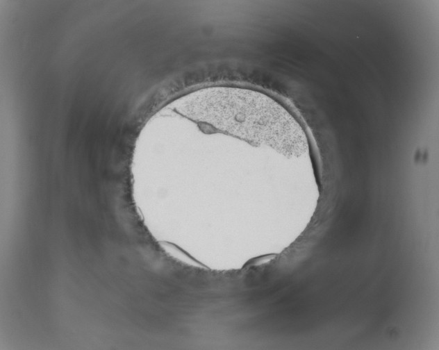 X0000112920192200910051117