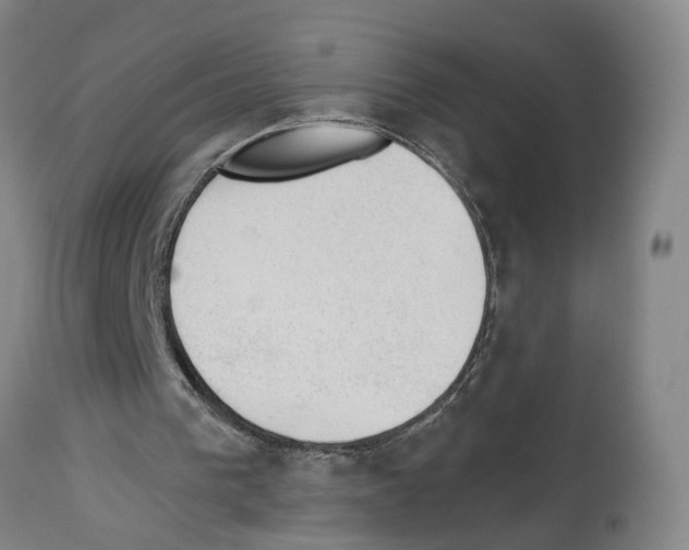X0000112920193200910051116