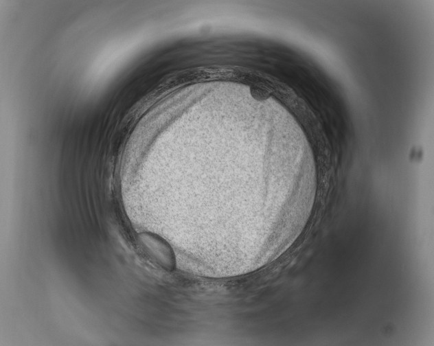 X0000112920194200910051116