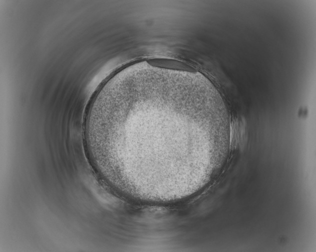 X0000112920195200910051116