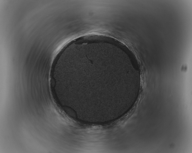 X0000112920196200910051116