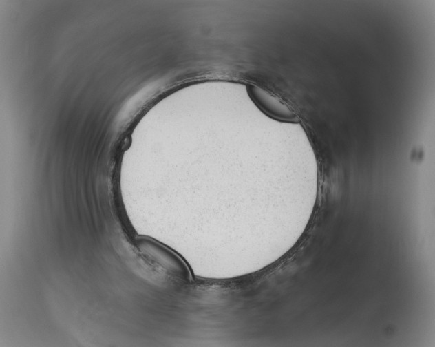 X0000112920197200910051116