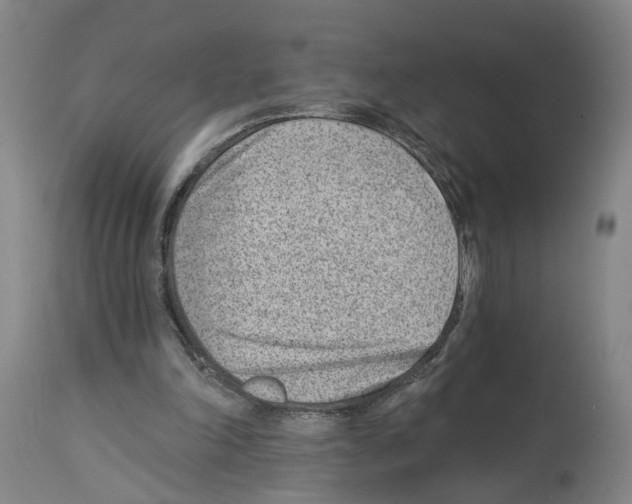 X0000112920198200910051116
