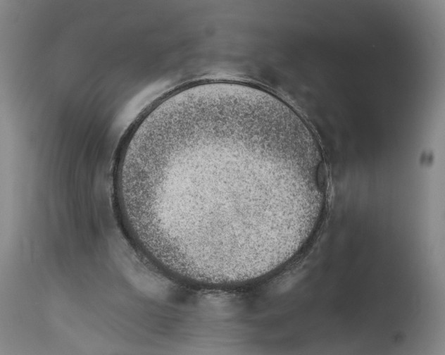 X0000112920199200910051116