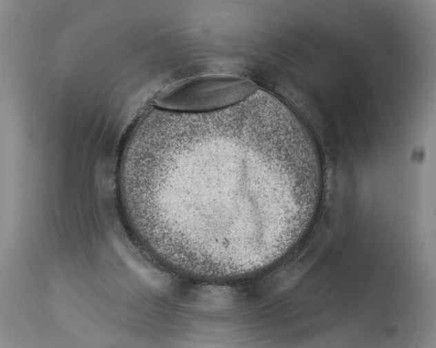 X0000112920203200910051116