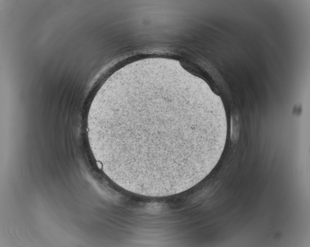X0000112920204200910051116
