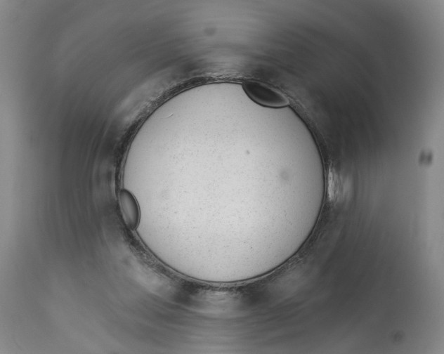 X0000112920205200910051116