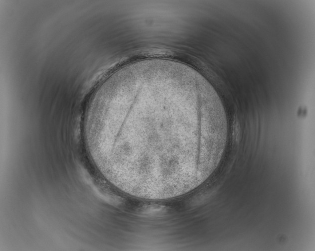 X0000112920206200910051116
