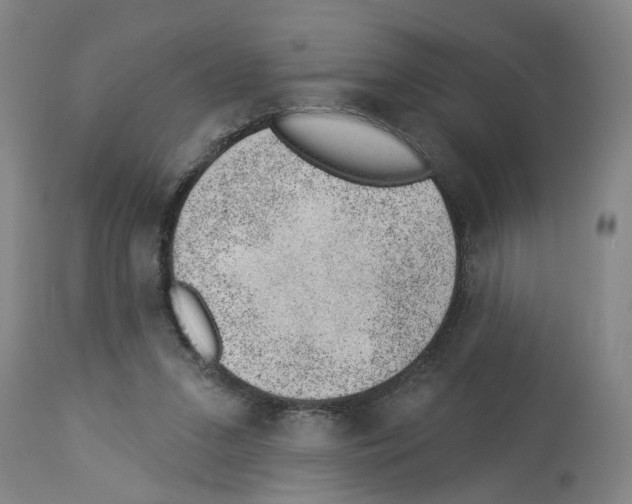 X0000112920207200910051116