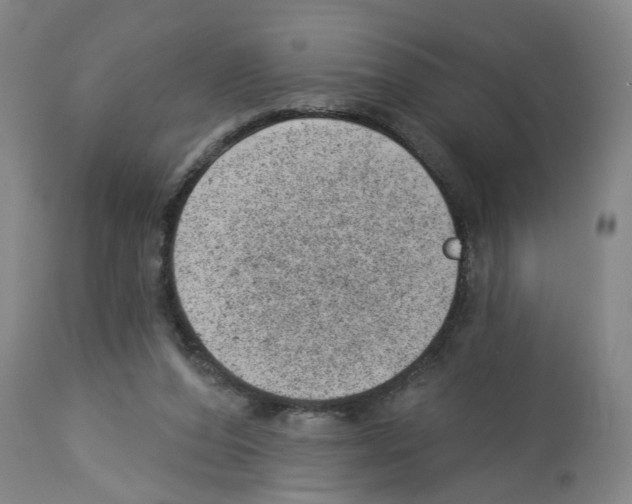 X0000112920208200910051116