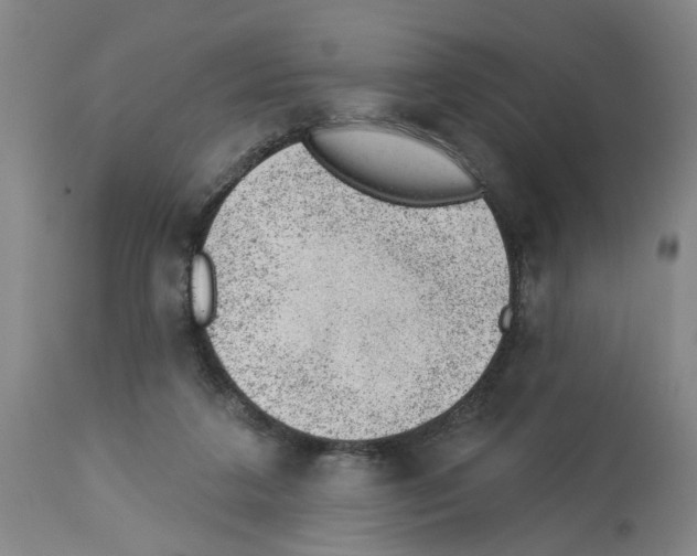 X0000112920211200910051116