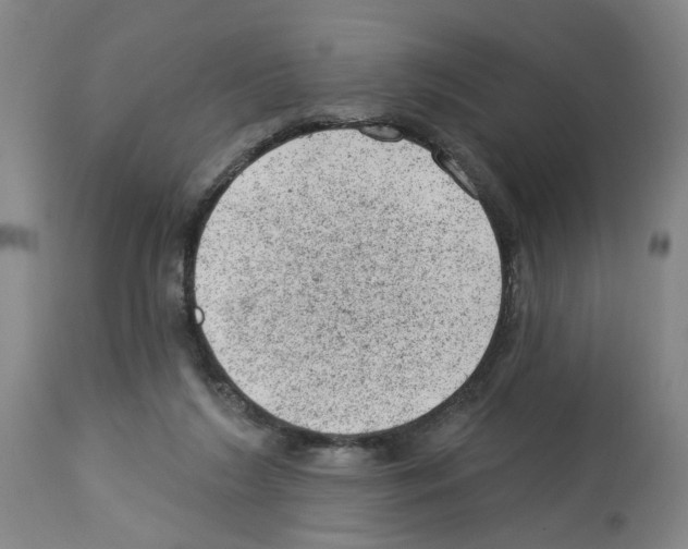 X0000112920212200910051116