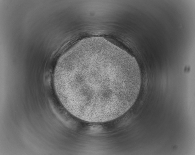 X0000112920214200910051116