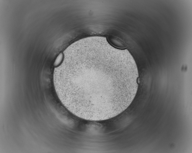X0000112920215200910051116