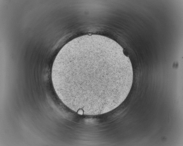 X0000112920216200910051116