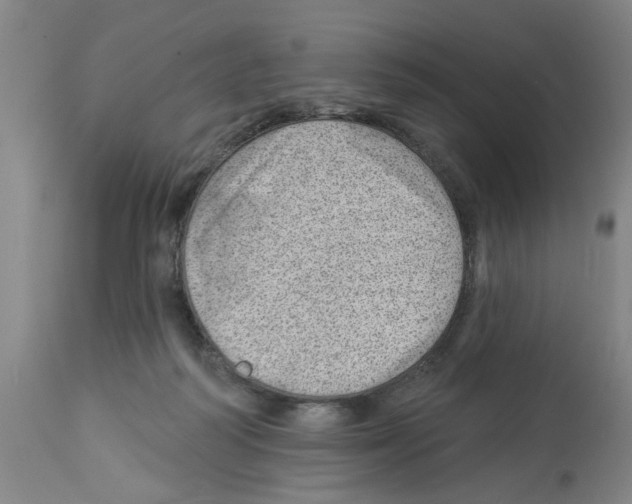 X0000112920218200910051116