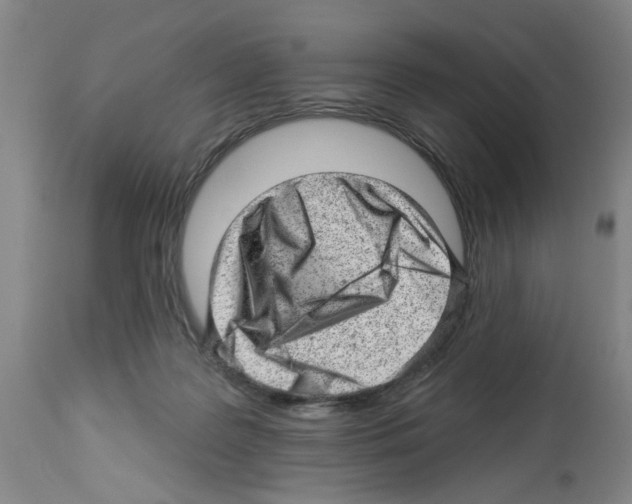 X0000112920219200910051116