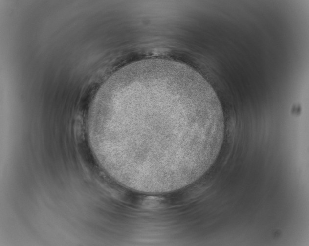 X0000112920222200910051116
