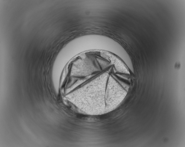 X0000112920223200910051116