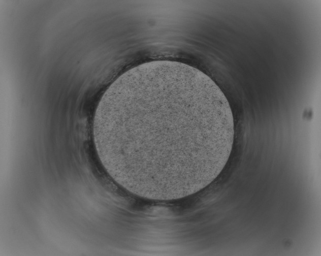 X0000112920224200910051116
