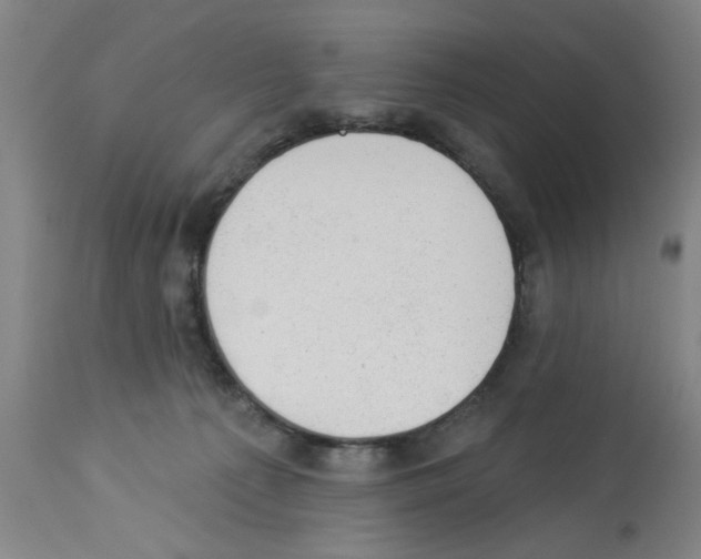 X0000112920225200910051116