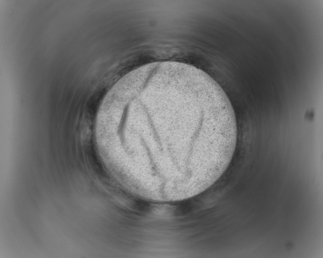 X0000112920226200910051116