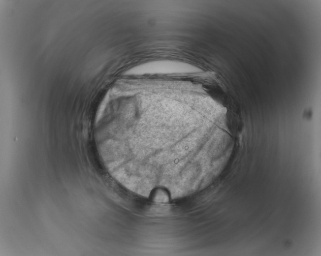 X0000112920227200910051116