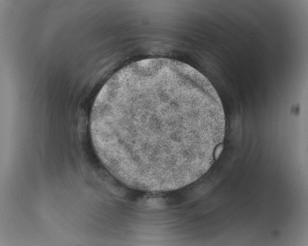 X0000112920228200910051116