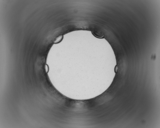 X0000112920229200910051116