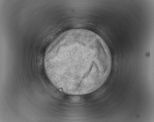 X0000112920230200910051116
