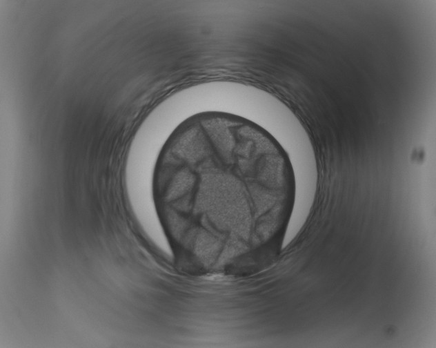 X0000112920231200910051116