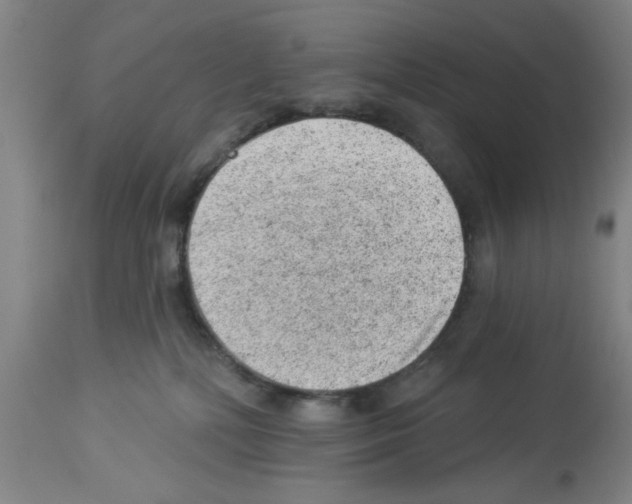 X0000112920232200910051116