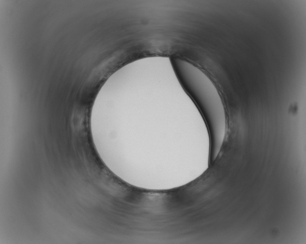 X0000112920233200910051116