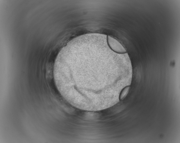 X0000112920234200910051116