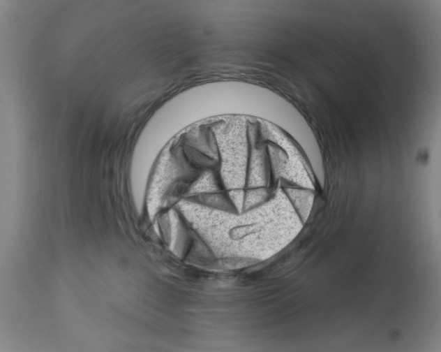 X0000112920235200910051115