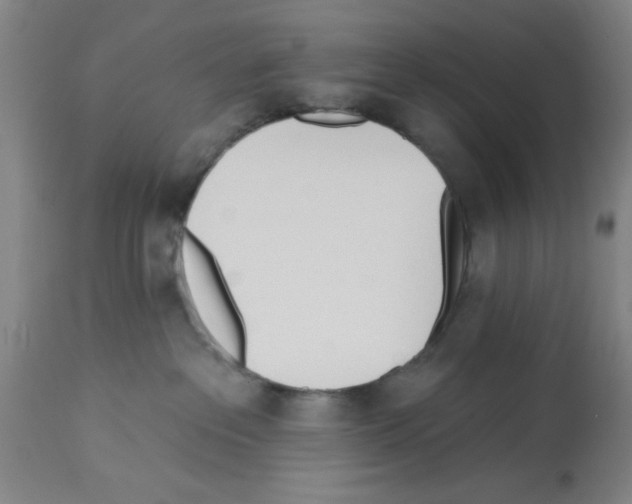X0000112920237200910051115