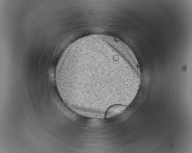 X0000112920238200910051115