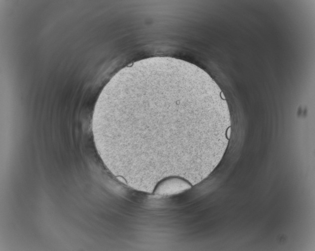 X0000112920240200910051115
