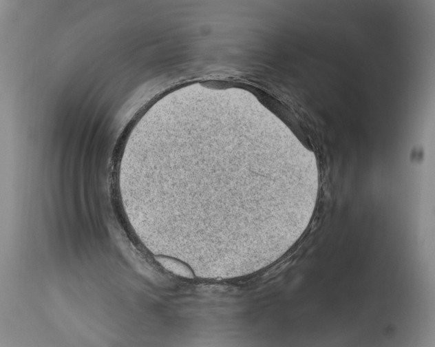 X0000112920242200910051115