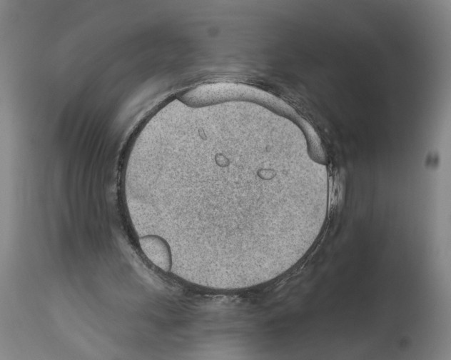 X0000112920243200910051115