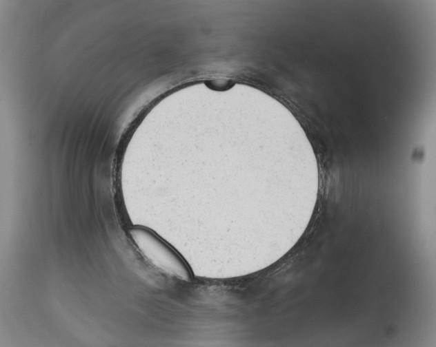 X0000112920244200910051115