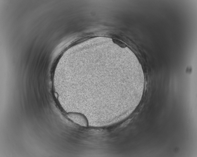 X0000112920245200910051115