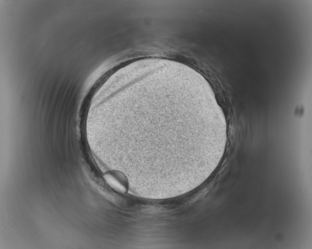 X0000112920246200910051115
