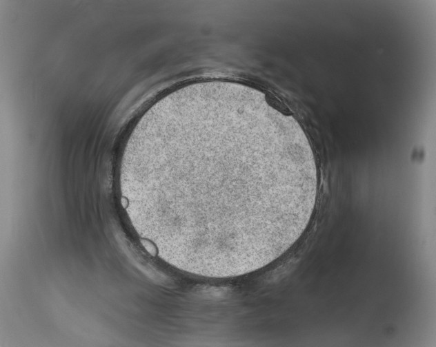 X0000112920247200910051115