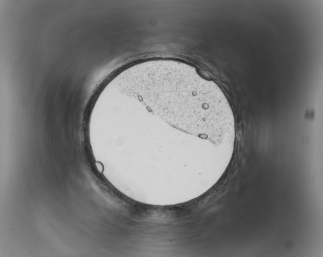 X0000112920248200910051115