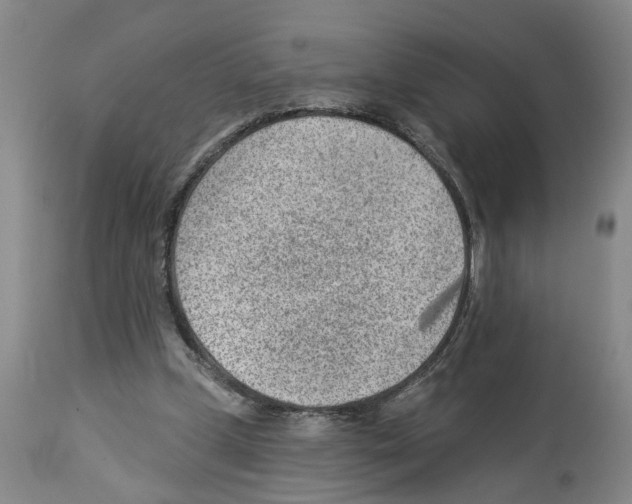 X0000112920249200910051115