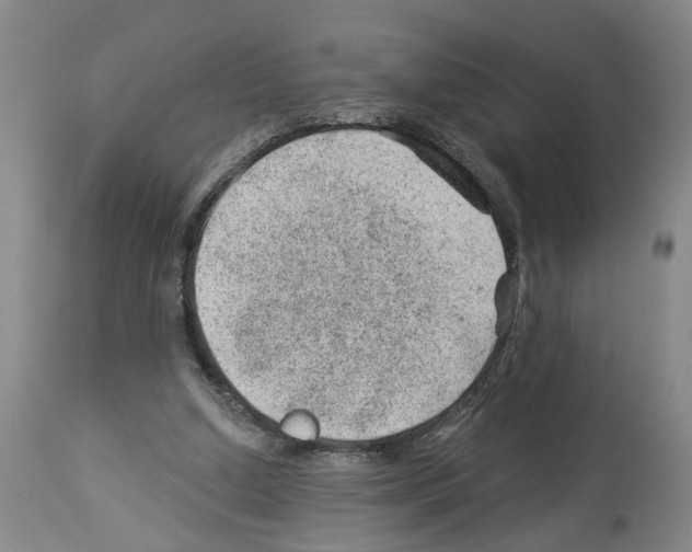 X0000112920250200910051115
